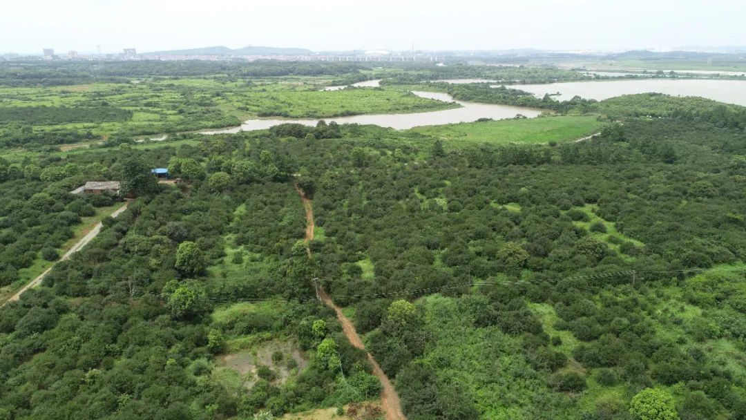 1669613813236674.jpg 4.jpg